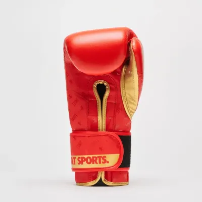 Боксерские перчатки Leone GN220 DNA Red 16 унций (GN220_Red_16oz)