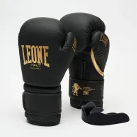 Боксерські рукавички Leone GN059D Black Gold 14 унцій (GN059D_Bl/Gold_14oz)