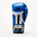 Боксерські рукавички Leone GN208 Iconic Blue 14 унцій (GN208_Blue_14oz) Боксерські рукавички Leone GN208 Iconic Blue 14 унцій (GN208_Blue_14oz)