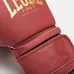 Боксерські рукавички Leone GN059X Bordeaux ED 10 унцій Бордовий (GN059X_BORDEAUX_10oz)