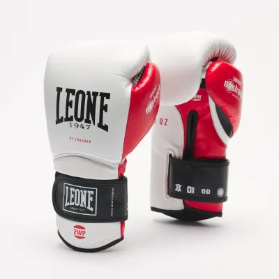 Боксерські рукавички Leone GN113 IL Tecnico N3 White 10 унцій (GN113_White_10oz)