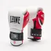 Боксерські рукавички Leone GN113 IL Tecnico N3 White 10 унцій (GN113_White_10oz)