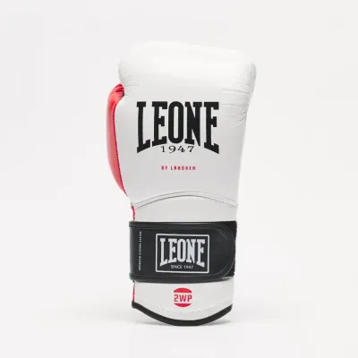 Боксерські рукавички Leone GN113 IL Tecnico N3 White 10 унцій (GN113_White_10oz)