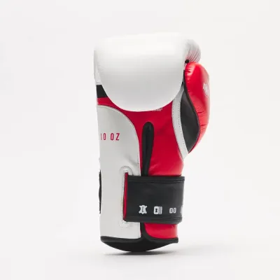 Боксерські рукавички Leone GN113 IL Tecnico N3 White 10 унцій (GN113_White_10oz)