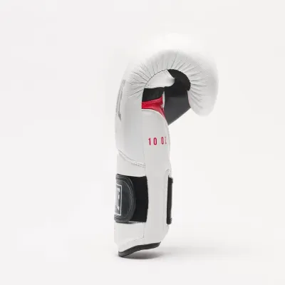 Боксерські рукавички Leone GN113 IL Tecnico N3 White 10 унцій (GN113_White_10oz)