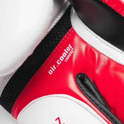 Боксерські рукавички Leone GN113 IL Tecnico N3 White 10 унцій (GN113_White_10oz)