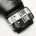 Боксерські рукавички Leone GN208 Iconic Black 10 унцій (GN208_Black_10oz)