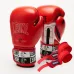Боксерские перчатки Leone GN208 Iconic Red 16 унций (GN208_Red_16oz)