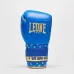 Боксерские перчатки Leone GN220 DNA Blue 10 унций (GN220_Blue_10oz) Боксерские перчатки Leone GN220 DNA Blue 10 унций (GN220_Blue_10oz)