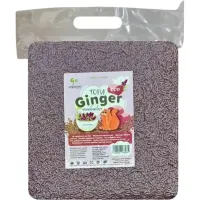Соєвий наповнювач для туалета ЗооВетКонтинент Ginger Tofu Лаванда 6 л (000037124) Соєвий наповнювач для туалета ЗооВетКонтинент Ginger Tofu Лаванда 6 л (000037124)