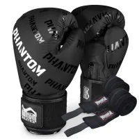 Боксерские перчатки Phantom Apex Velcro 12 унций Black (PHBG2368-12)