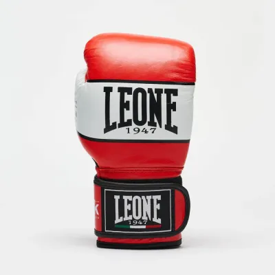 Боксерські рукавички Leone GN047 Shock 12 унцій Red (GN047_Red_12oz) Боксерські рукавички Leone GN047 Shock 12 унцій Red (GN047_Red_12oz)