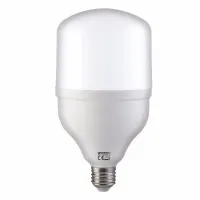 Лампа світлодіодна Horoz Electric TORCH 10х18.6 см Білий (001-016-0030-032)