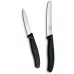 Кухонный набор Victorinox Swiss Classic Paring Set Черный 2 шт (6.7113.2)