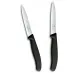 Кухонний набір Victorinox Swiss Classic Paring Set 10 см Чорний 2 шт (6.7793.2)