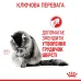Сухой корм для выведения шерстяных комочков у кошек Royal Canin Hairball Care 400 г (ROYAL2534004)