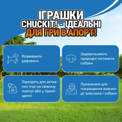 М'яч для собак Chuckit! День Народження М Різнокольоровий (60118D)