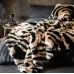 Плед покрывало George Rockett St Animal Swirl Faux Fur Throw 200х150 см Разноцветный (2818469191) Плед покрывало George Rockett St Animal Swirl Faux Fur Throw 200х150 см Разноцветный (2818469191)