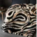 Плед покрывало George Rockett St Animal Swirl Faux Fur Throw 200х150 см Разноцветный (2818469191) Плед покрывало George Rockett St Animal Swirl Faux Fur Throw 200х150 см Разноцветный (2818469191)