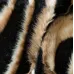 Плед покрывало George Rockett St Animal Swirl Faux Fur Throw 200х150 см Разноцветный (2818469191) Плед покрывало George Rockett St Animal Swirl Faux Fur Throw 200х150 см Разноцветный (2818469191)