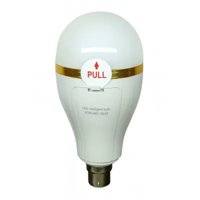 Лампочка автономного освітлення з гачком No Brand 20 Вт LED E27 Білий (2104618835)