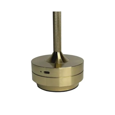 Настольный светильник No Brand Type-C 3 Вт 2700-6500K Golden (Golden030152573USB)