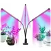 Світлодіодна фітолампа Touch Led Plant Grow 3 лампи Чорний (2864554829) Світлодіодна фітолампа Touch Led Plant Grow 3 лампи Чорний (2864554829)