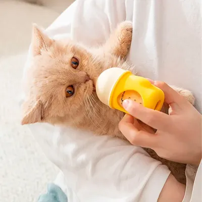 Бутылка для кормления котят и щенков Lesko 2404SPBL8061 80 мл Желтый (13712-91047) Бутылка для кормления котят и щенков Lesko 2404SPBL8061 80 мл Желтый (13712-91047)