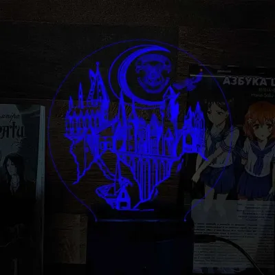 Светильник-ночник Bioworld Hogwarts школа волшебства и чародейства USB Разноцветный (28003)