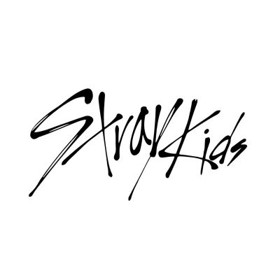 Кухоль Orca K-pop Stray Kids 330 мл Чорний (0777)