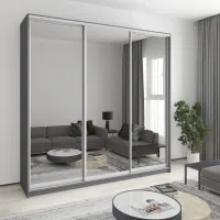 Шкаф-купе трехдверный Mebel Star Комбо AL 240х45х240 см Антрацит (MBS-2184)