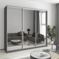 Шкаф-купе трехдверный Mebel Star Комбо AL 230х60х210 см Антрацит (MBS-3395) Шкаф-купе трехдверный Mebel Star Комбо AL 230х60х210 см Антрацит (MBS-3395)