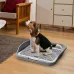 Туалет зі стовпчиком для собак Taotaopets 2210030 38x47x9 см Сірий (14012-94210)