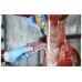 Нож кухонный разделочный Morakniv Narrow Boning Hunting S 134 мм Оранжевый (14235)
