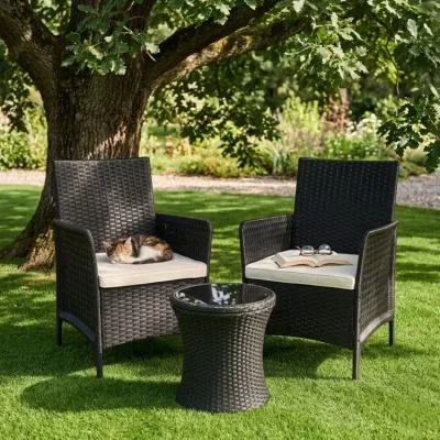 Комплект кресел GardenLine MultiGarden 2 шт Черный (DNLJA-002-1)