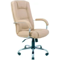 Офісне крісло керівника Richman AlbertoDesign AniFyx М-2 Бежевий (rch_chr_00064)