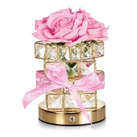 Настольная лампа LED светильник Lesko Rose Crystal YW-HP-MGMFP Розовый (14478-96606)
