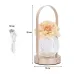 Настільна лампа LED нічник Lesko Rose Crystal KNXSTD01 Peach (14480-96603) Настільна лампа LED нічник Lesko Rose Crystal KNXSTD01 Peach (14480-96603)