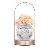 Настільна лампа LED нічник Lesko Rose Crystal KNXSTD01 Peach (14480-96603)