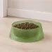 Миска для собак и котов Taotaopets 07A6601 21 см 980 мл Зелёный (14235-96579)