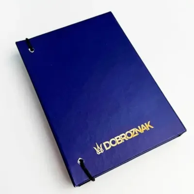 Органайзер для зберігання значків Dobroznak 14.8х10.6 см Синій (6338)